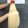 Loiro global Vietnamita, 55cm á 75cm; 100g