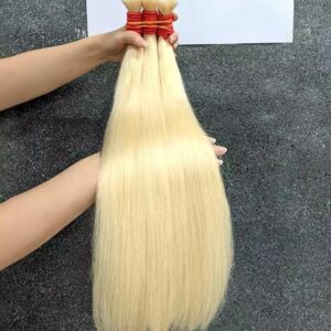 Loiro global Vietnamita, 55cm á 75cm; 100g