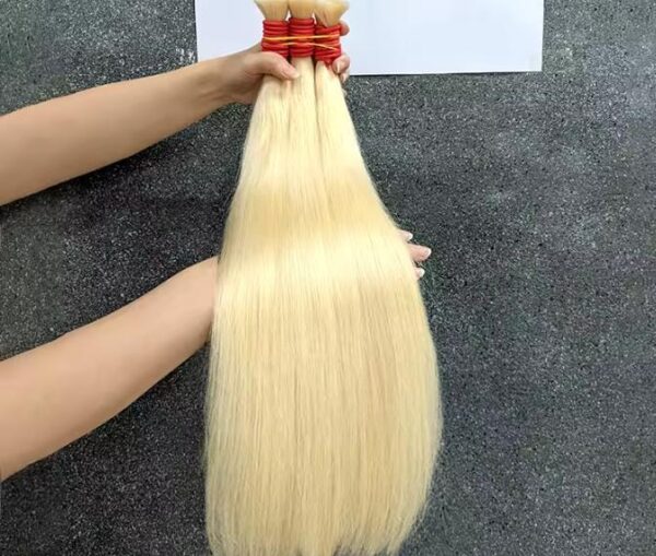 Loiro global Vietnamita, 55cm á 75cm; 100g